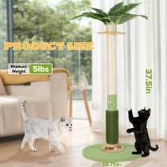 COUNTER cat-tree base highlights broad stability for kittens and adults.