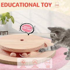 COUNER interactive-ball toy detail images invite play and enrichment for cats
