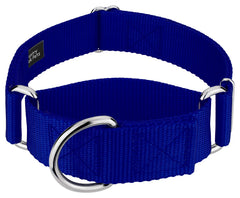 Country Brook Petz HossFit Jr wide martingale collar royal blue front view for secure training