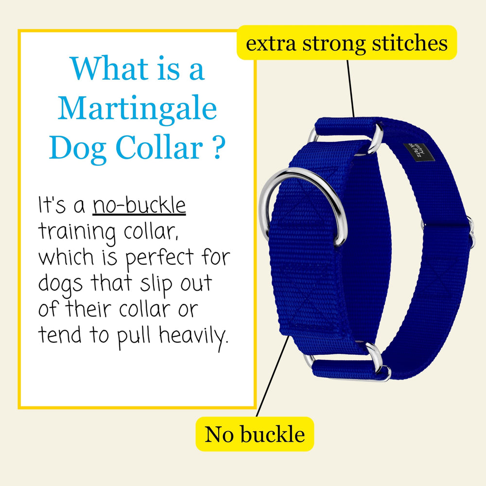 Country Brook Petz HossFit Jr wide 1.5 inch strap highlighting width and durability