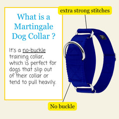 Country Brook Petz HossFit Jr wide 1.5 inch strap highlighting width and durability