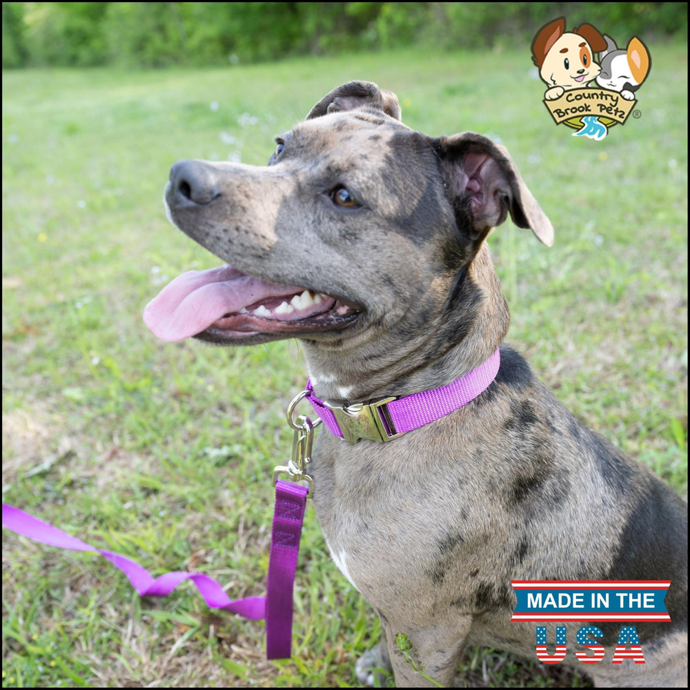 Country Brook Petz nylon webbing closeup highlights strength and smooth feel.
