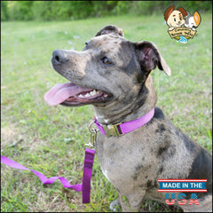 Country Brook Petz nylon webbing closeup highlights strength and smooth feel.