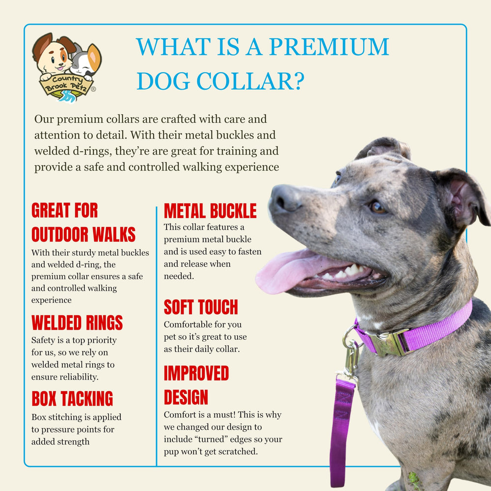 Country Brook Petz collar worn like a hug emphasizes comfort and durability.
