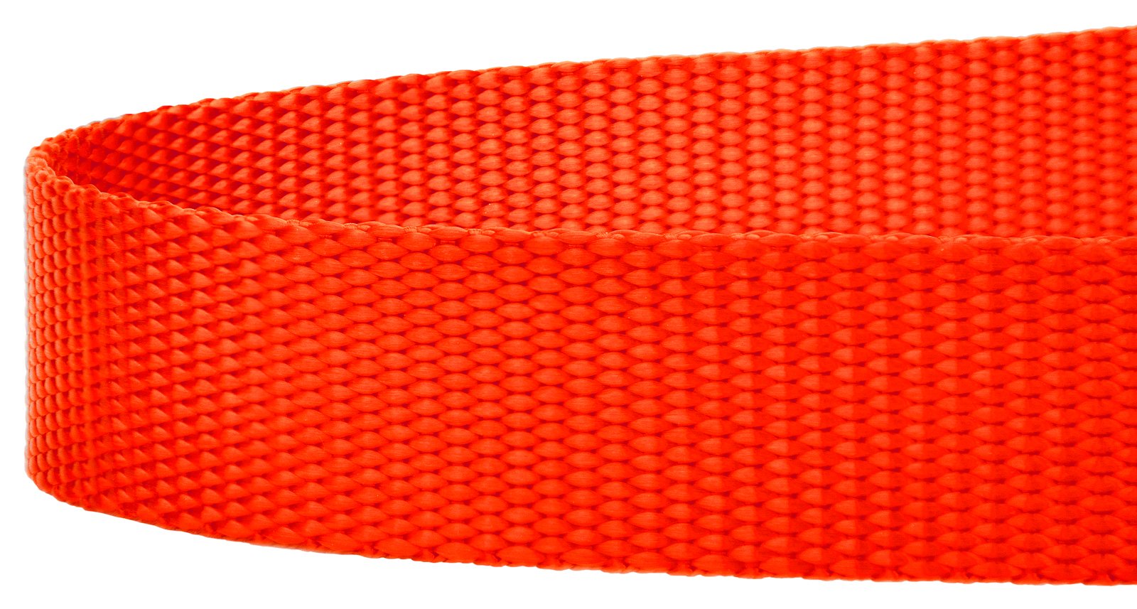 Country Brook Petz Everyday Nylon Leash sewn in the USA highlights American craftsmanship and lasting performance.
