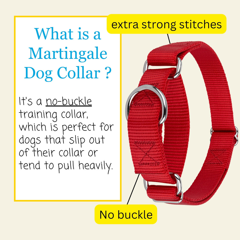 Country Brook Petz martingale nickel hardware ensures lasting strength and shine.