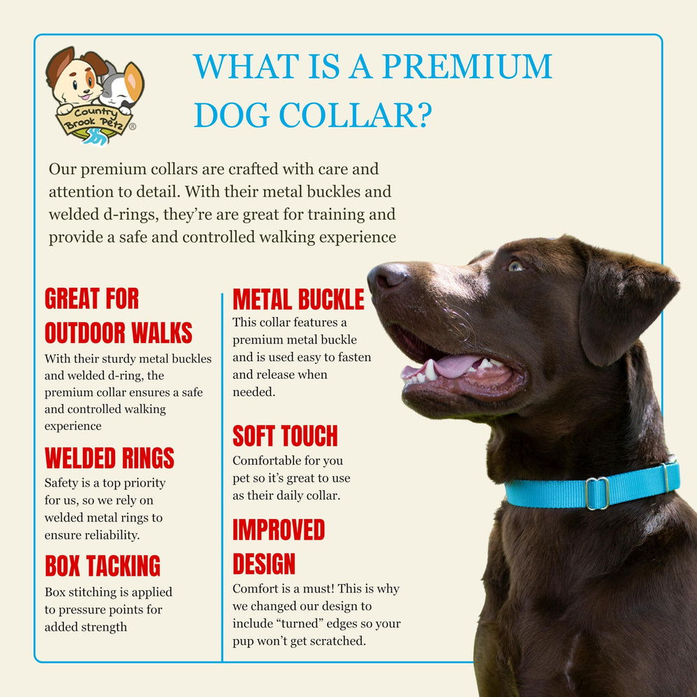 Country Brook Petz collar soft nylon texture closeup, hugs like comfortable wear.