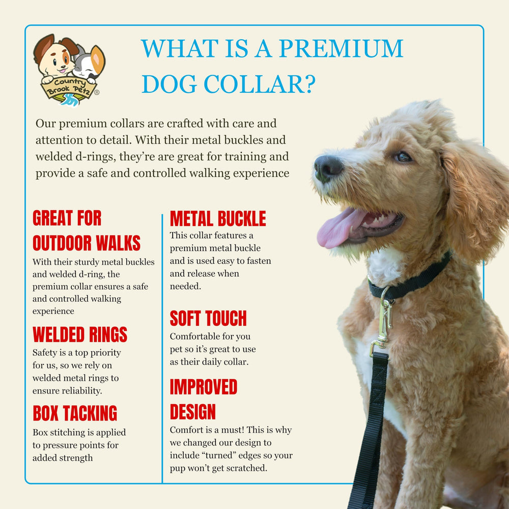 Country Brook Petz collar in 30+ colors to match your pup's style.