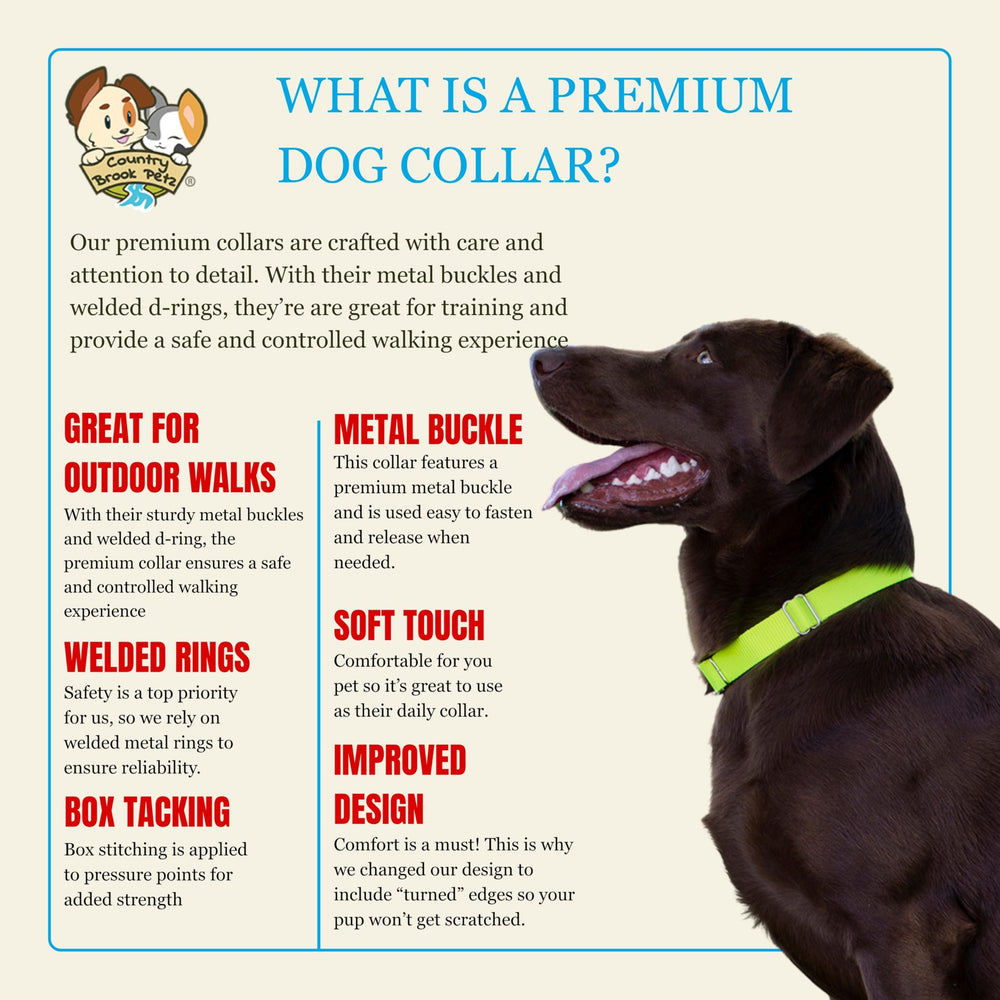 Country Brook Petz adjustable 18-26 inch collar for versatile fit and growth.