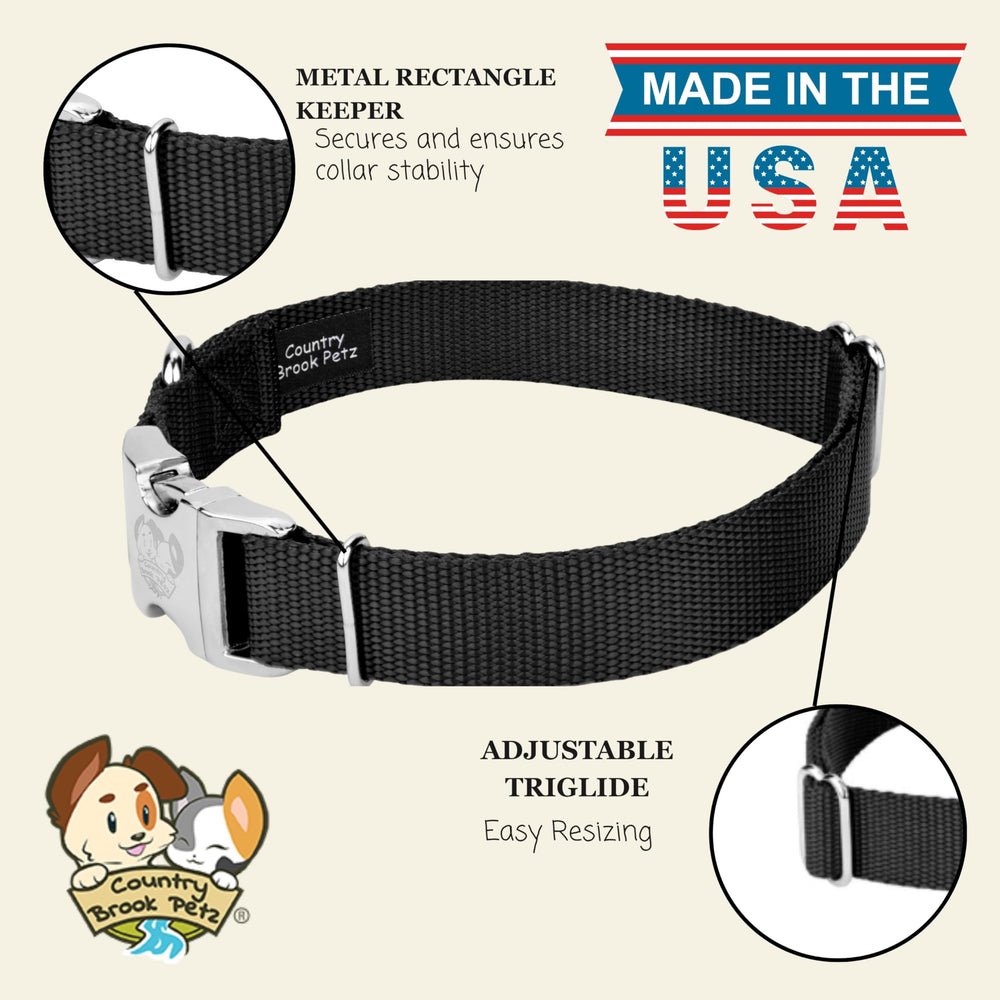 Country Brook Petz collar worn by a dog during daily walks.