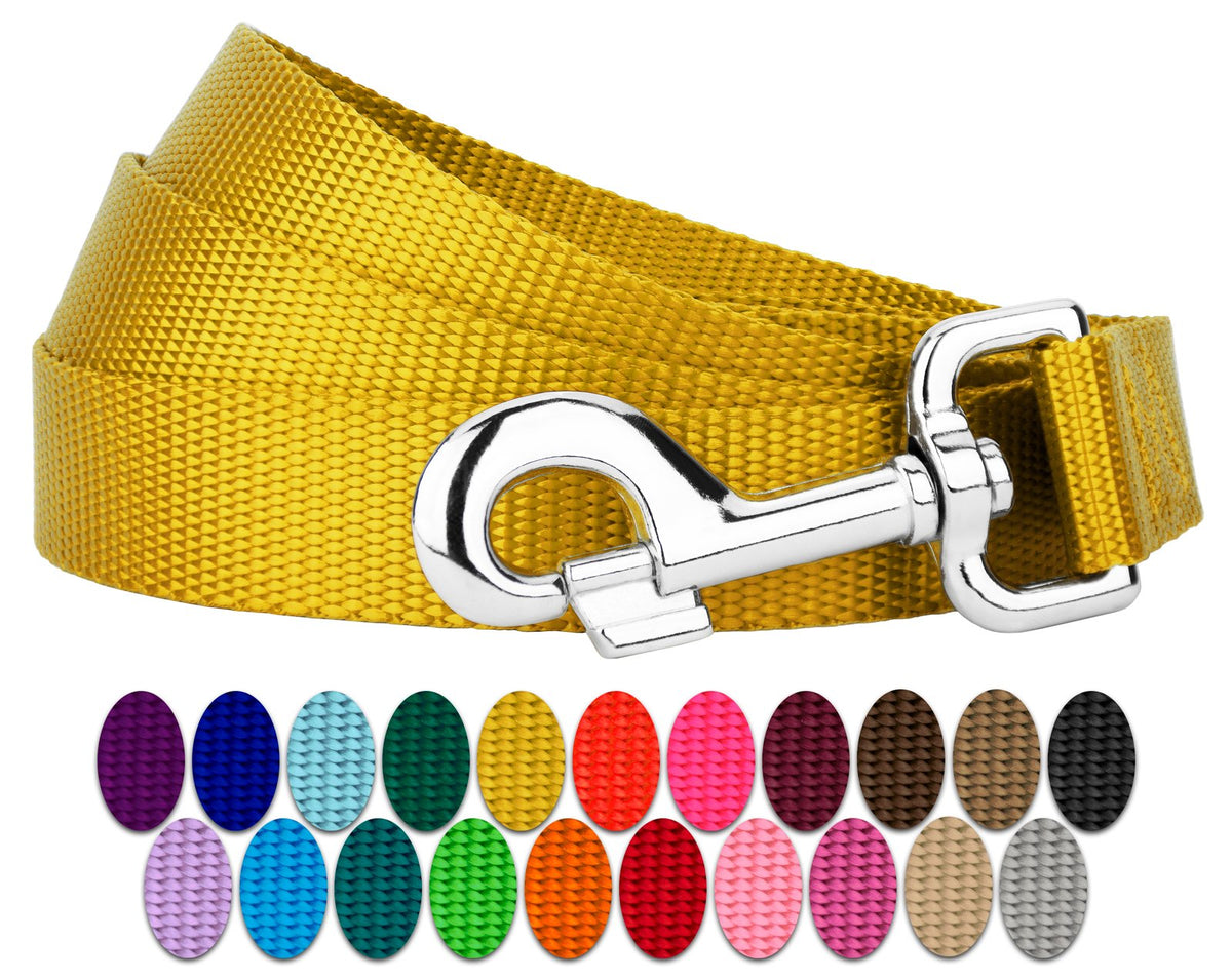 Country Brook Petz everyday nylon leash closeup shows strong hardware for daily walks