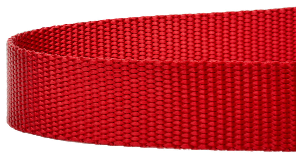 Country Brook Petz Everyday Nylon Dog Leash—color swatches to pick your perfect hue
