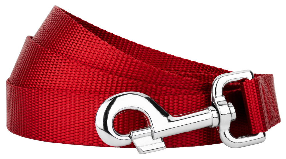 Country Brook Petz Everyday Nylon Dog Leash—vibrant colors stay bright with regular use