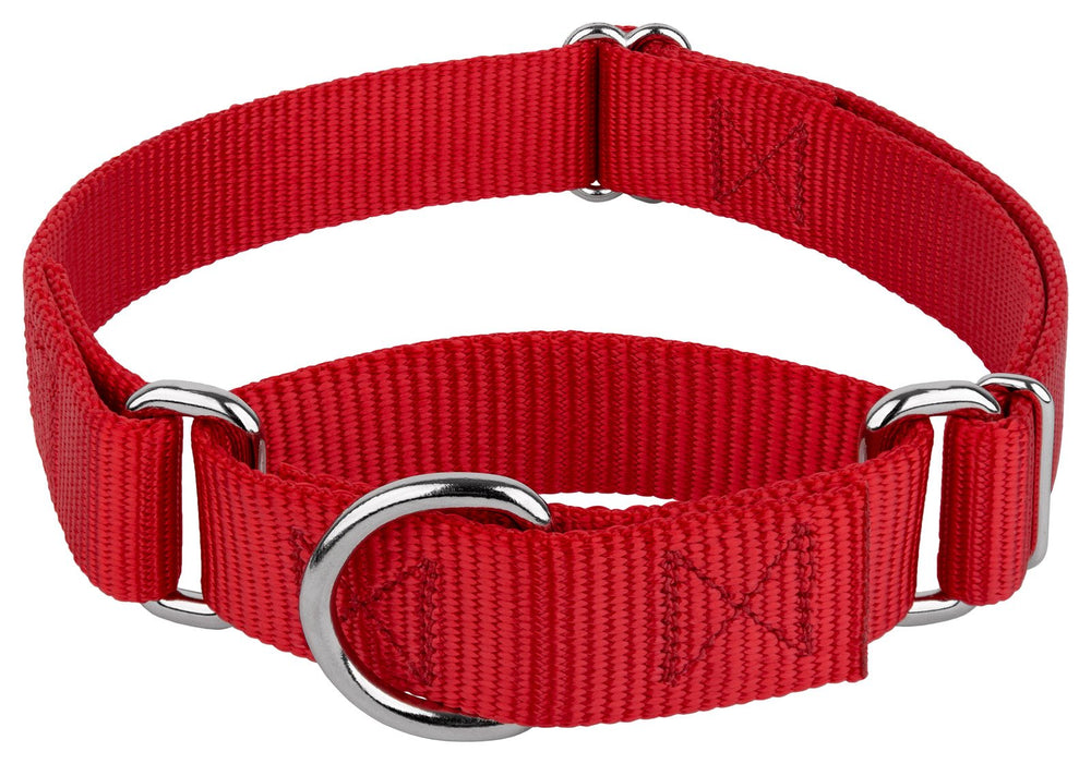 Country Brook Petz martingale collar overview showing slip-on design for gentle control