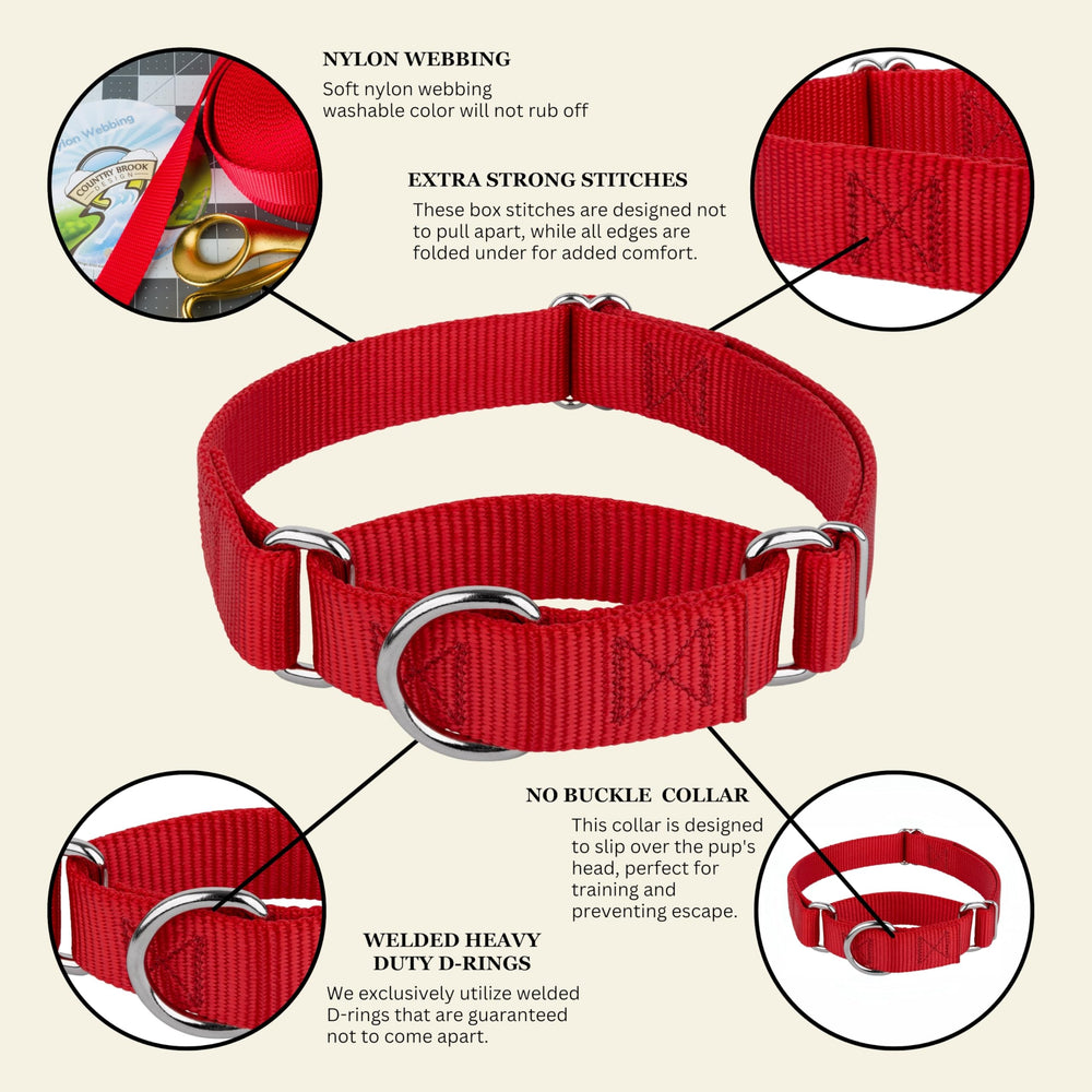 Country Brook Petz martingale collar secure fit during active play