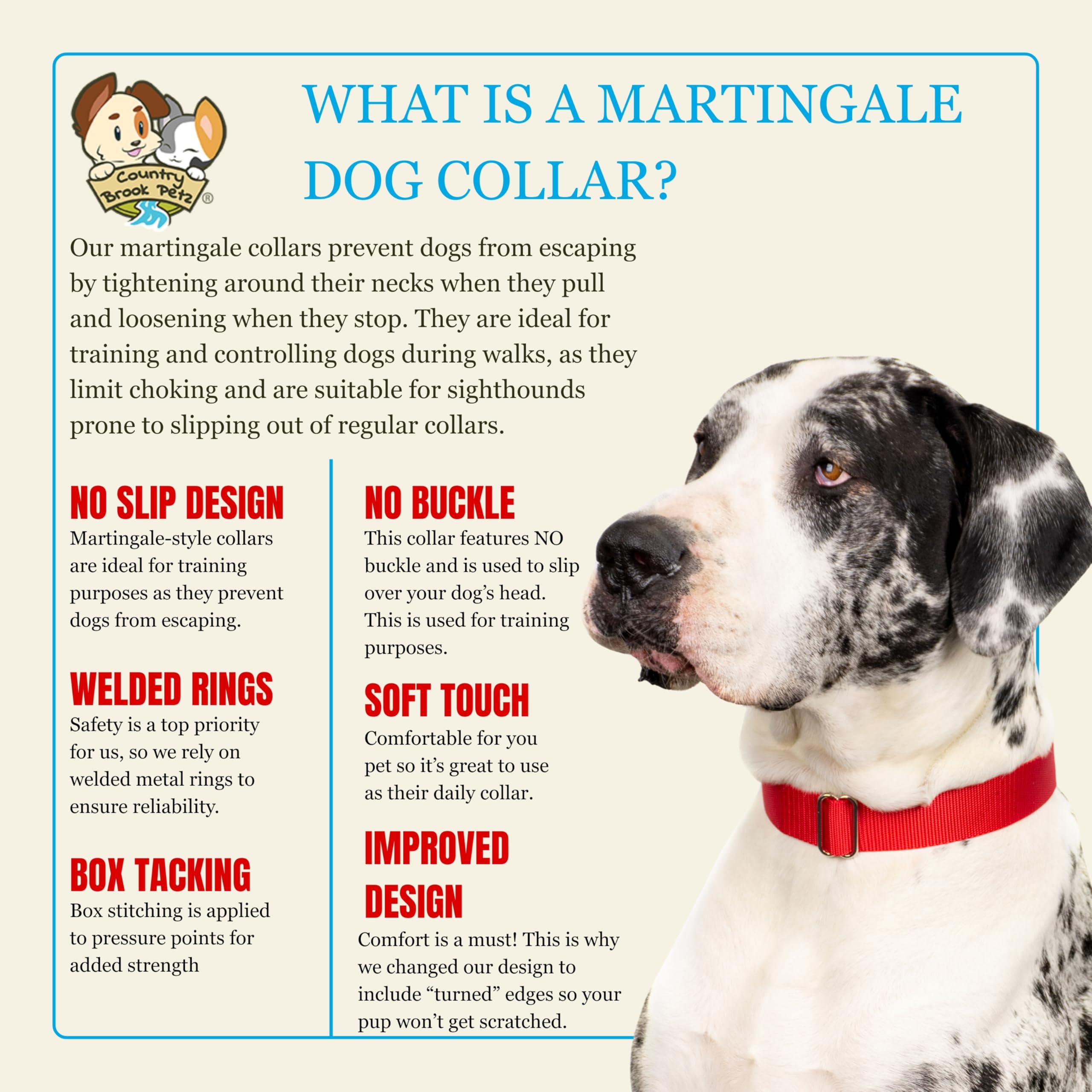 Country Brook Petz martingale collar suitable for service dogs and training