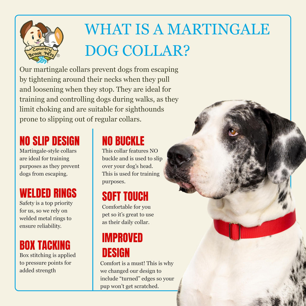 Country Brook Petz martingale collar suitable for service dogs and training