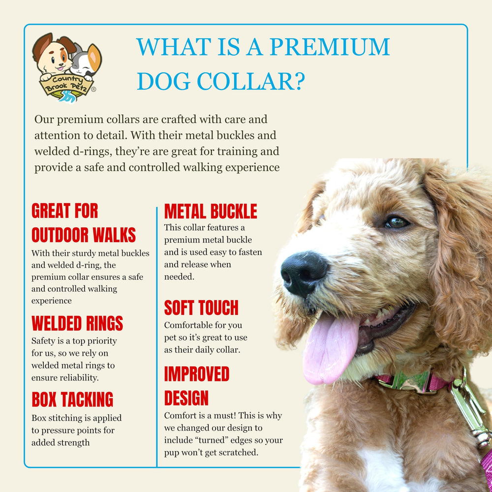 Country Brook Petz metal buckle dog collar closeup with secure quick-release.