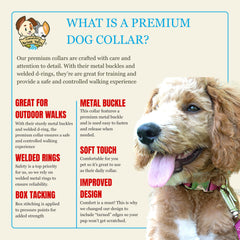 Country Brook Petz durable nylon webbing supports active dogs during daily walks.