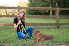 Country Brook Petz nylon webbing demonstrates high-strength material and reliable clip