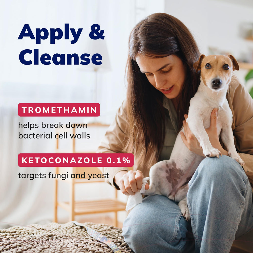 Covetrus CeraSoothe KET Antiseptic Flush applied to a dog ear for antiseptic cleansing.