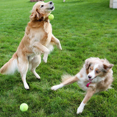 Covgopi dog tennis ball squeaker close-up to boost interactive play.