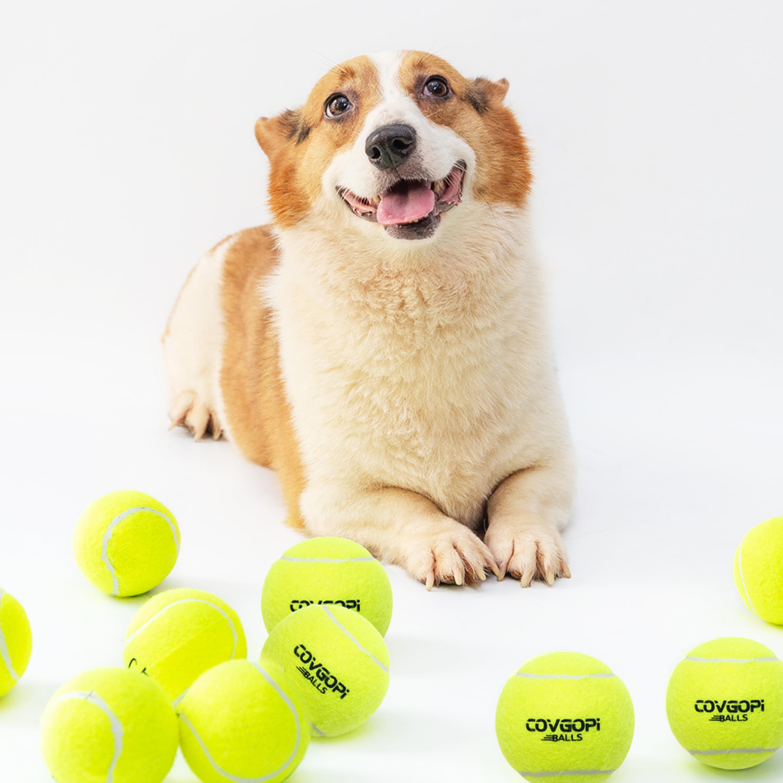 Covgopi dog tennis ball yard training shot for fetch.