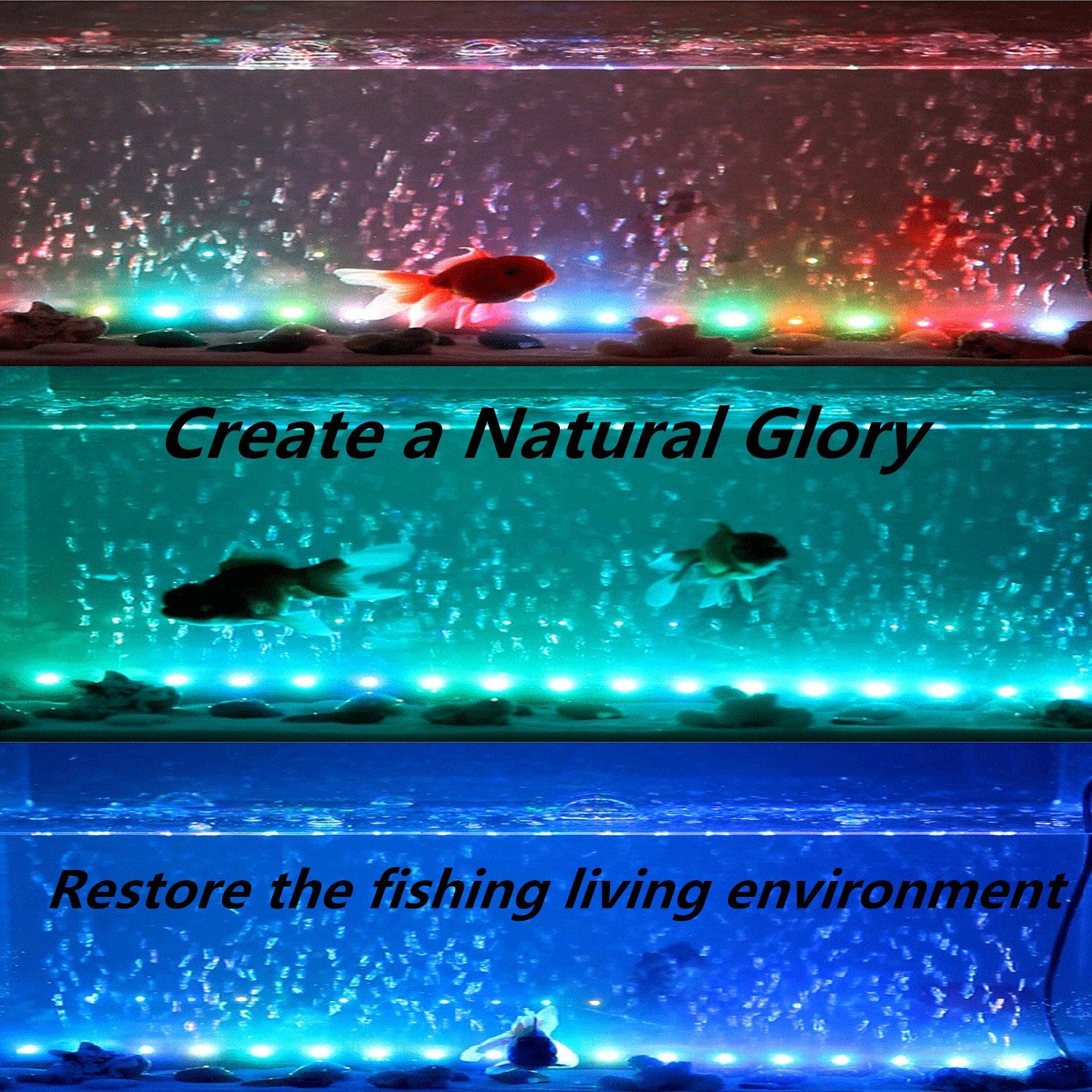 COVOART 12V low-voltage safety for gentle tank lighting