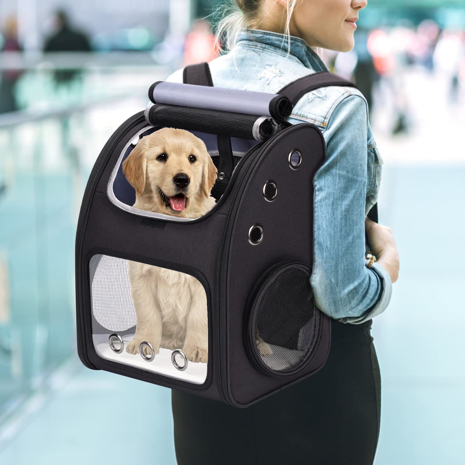 Covono airline approved pet backpack makes air travel easier for owners and pets.