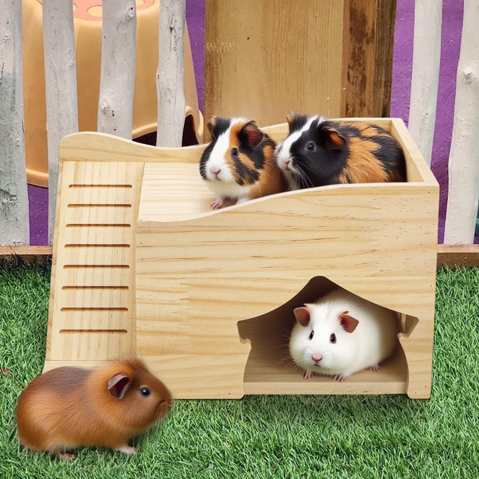 Covzoe Guinea Pig Wood House in cage, easy setup and natural decor