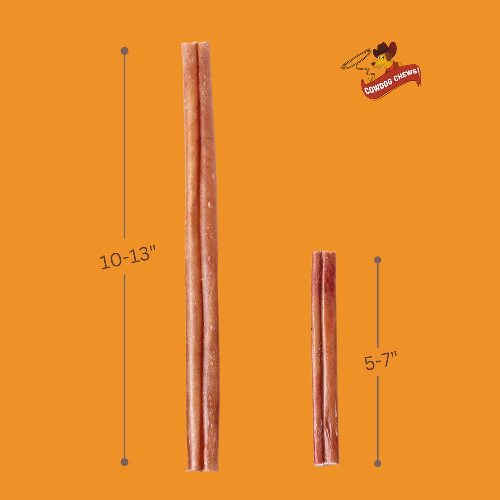 Cowdog Chews beef bully stick close-up texture highlights collagen-based digestible chew.
