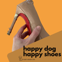 Cowdog Chews Beef Bully Stick displays grain-free, single-ingredient beef option.