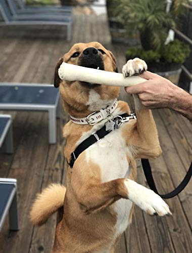 Cowdog Chews collagen-rich rawhide may support joint and coat wellness