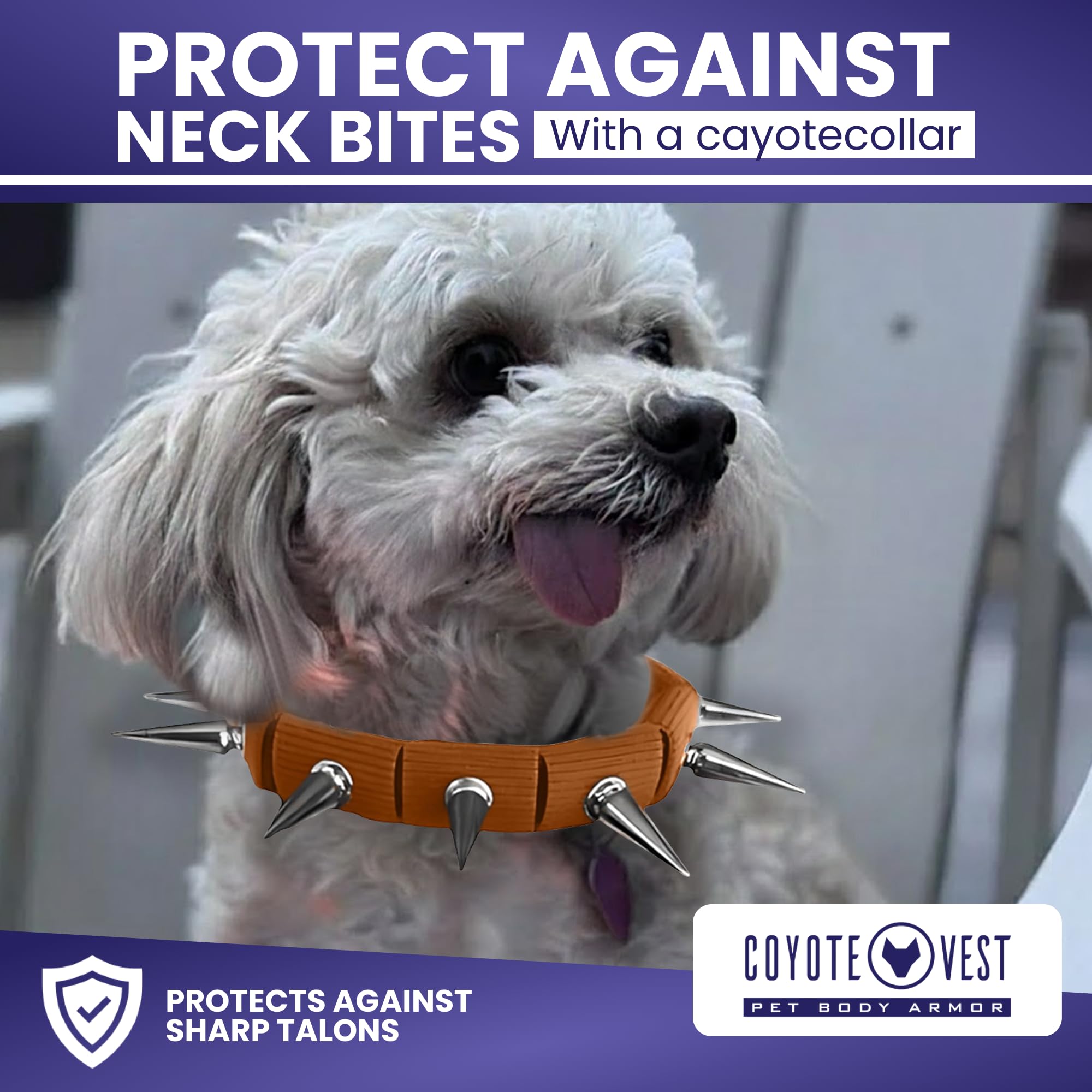 CoyoteVest CoyoteCollar in-use-protection showcases practical collar for outdoor adventures