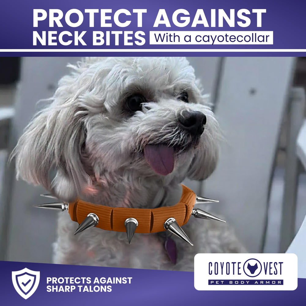 CoyoteVest CoyoteCollar in-use-protection showcases practical collar for outdoor adventures