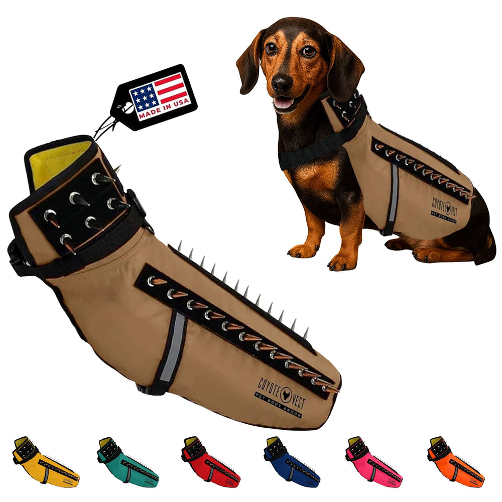 CoyoteVest dog harness protection on a small dog for safer walks against wildlife.