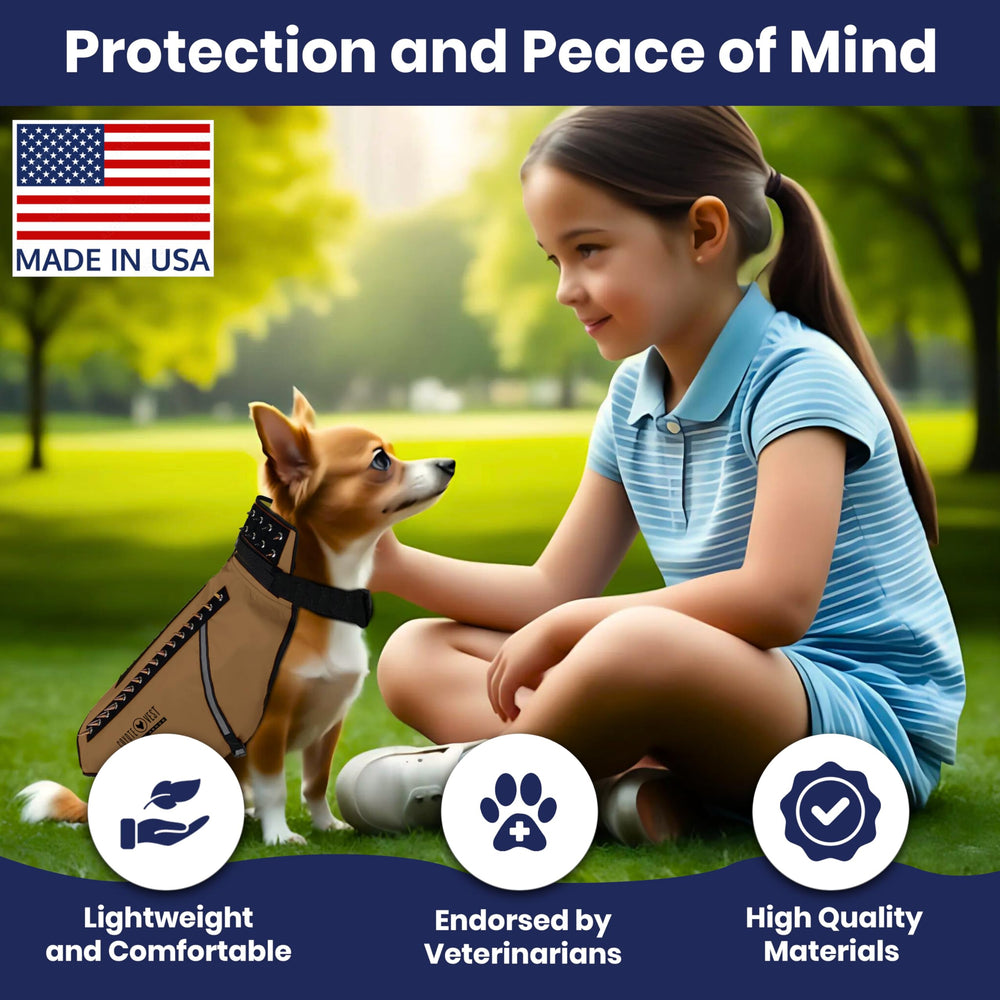 CoyoteVest dog harness reflective strips improve nighttime visibility during walks