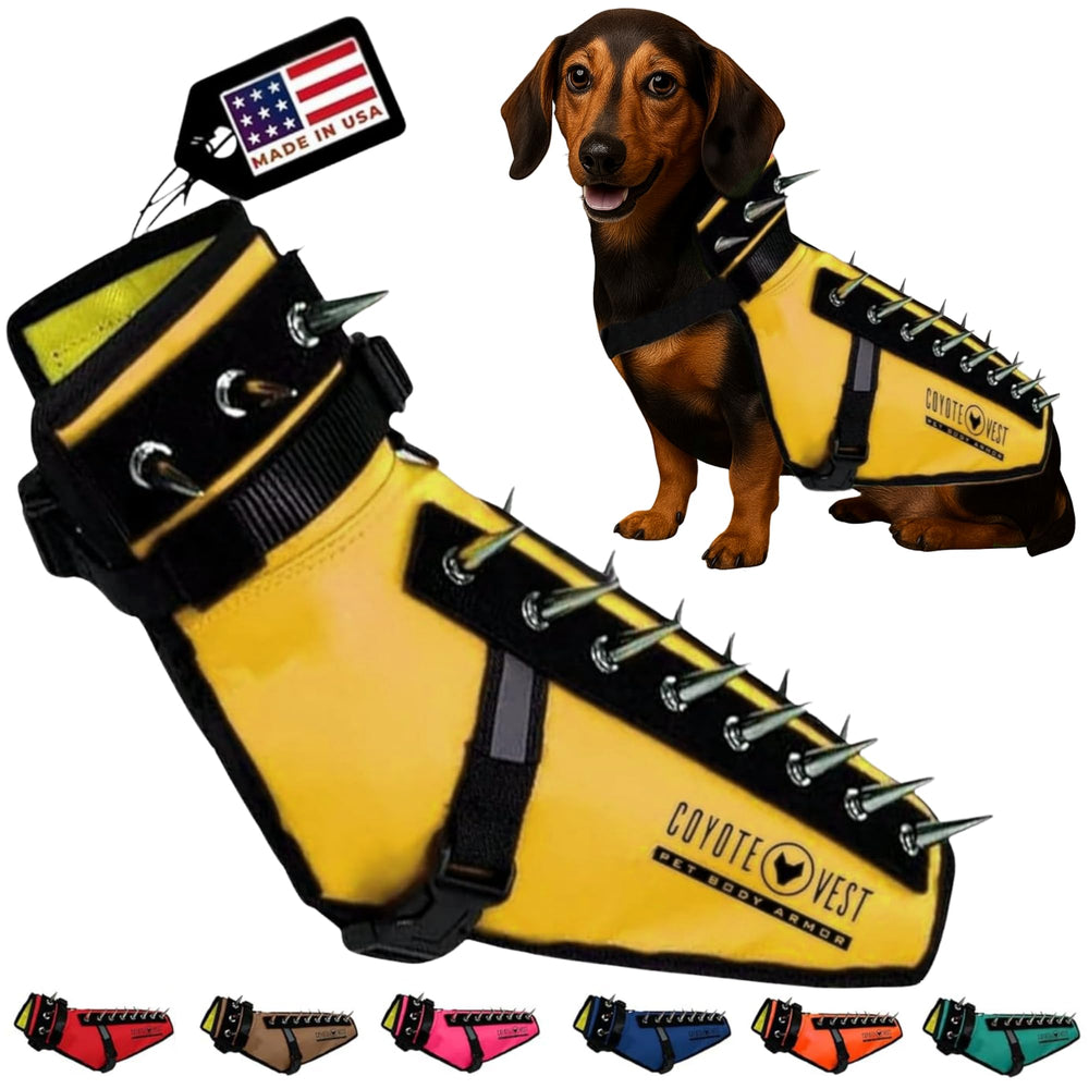 CoyoteVest harness front view shows protective vest for small dogs during outdoor walks