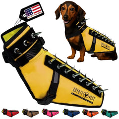 CoyoteVest harness front view shows protective vest for small dogs during outdoor walks