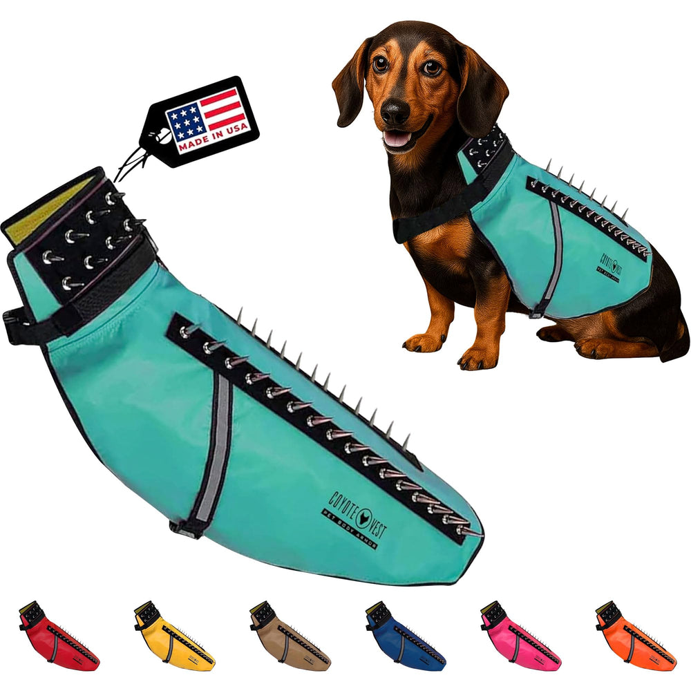 CoyoteVest harness protection vest with spikes protects during outdoor walks