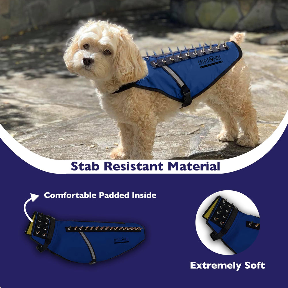 CoyoteVest hawk-protection-spikes shields your dog during outdoor encounters with birds