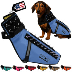 CoyoteVest small-dog-harness-royal-blue for safer daily walks with enhanced visibility