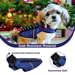 CoyoteVest SpikeVest back view with removable spikes for versatility