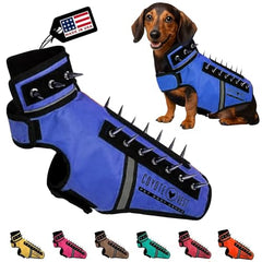 CoyoteVest SpikeVest dog harness front view showing secure fit and visible protection
