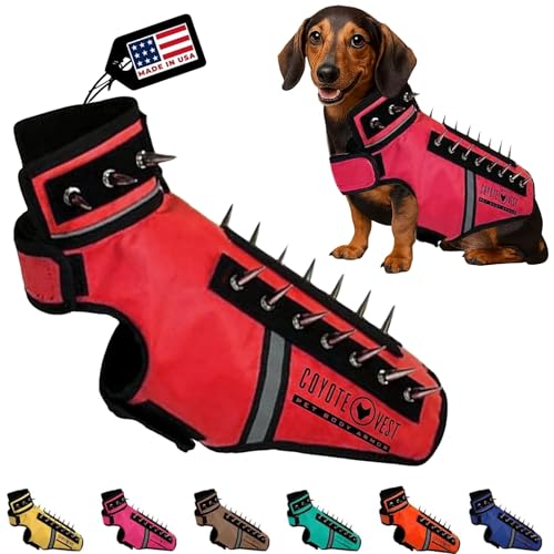 CoyoteVest SpikeVest dog harness in red for small dogs, adds frontline protection during outdoor outings.