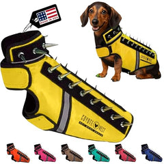 CoyoteVest SpikeVest on a small yellow dog shows protective fit and visibility during outdoor walks.