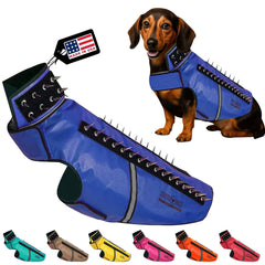 CoyoteVest SpikeVest dog-vest back spikes: visible deterrent for coyote encounters.