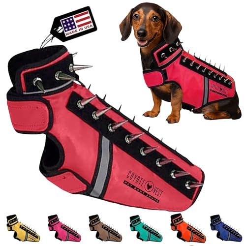 CoyoteVest SpikeVest front view shows shielded chest for small dogs during walks