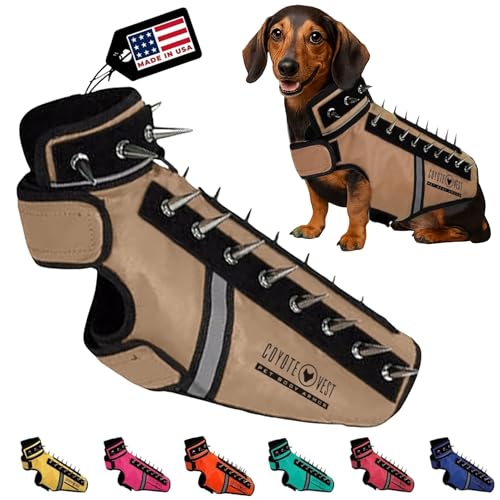 CoyoteVest SpikeVest front view shows dual-strap secure fit for small dogs