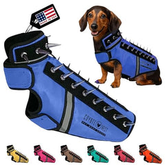 CoyoteVest SpikeVest XS Royal Blue front view shows compact protection for small dogs